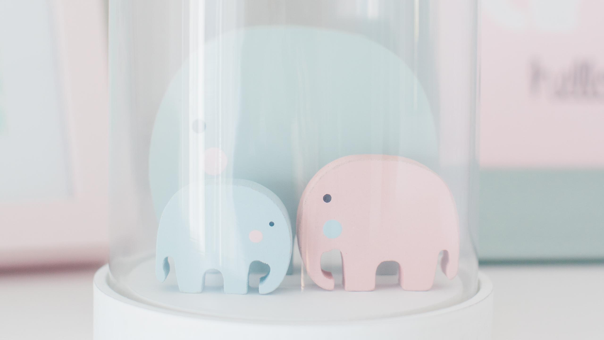 NG-photography---Stichting-Hanne-24