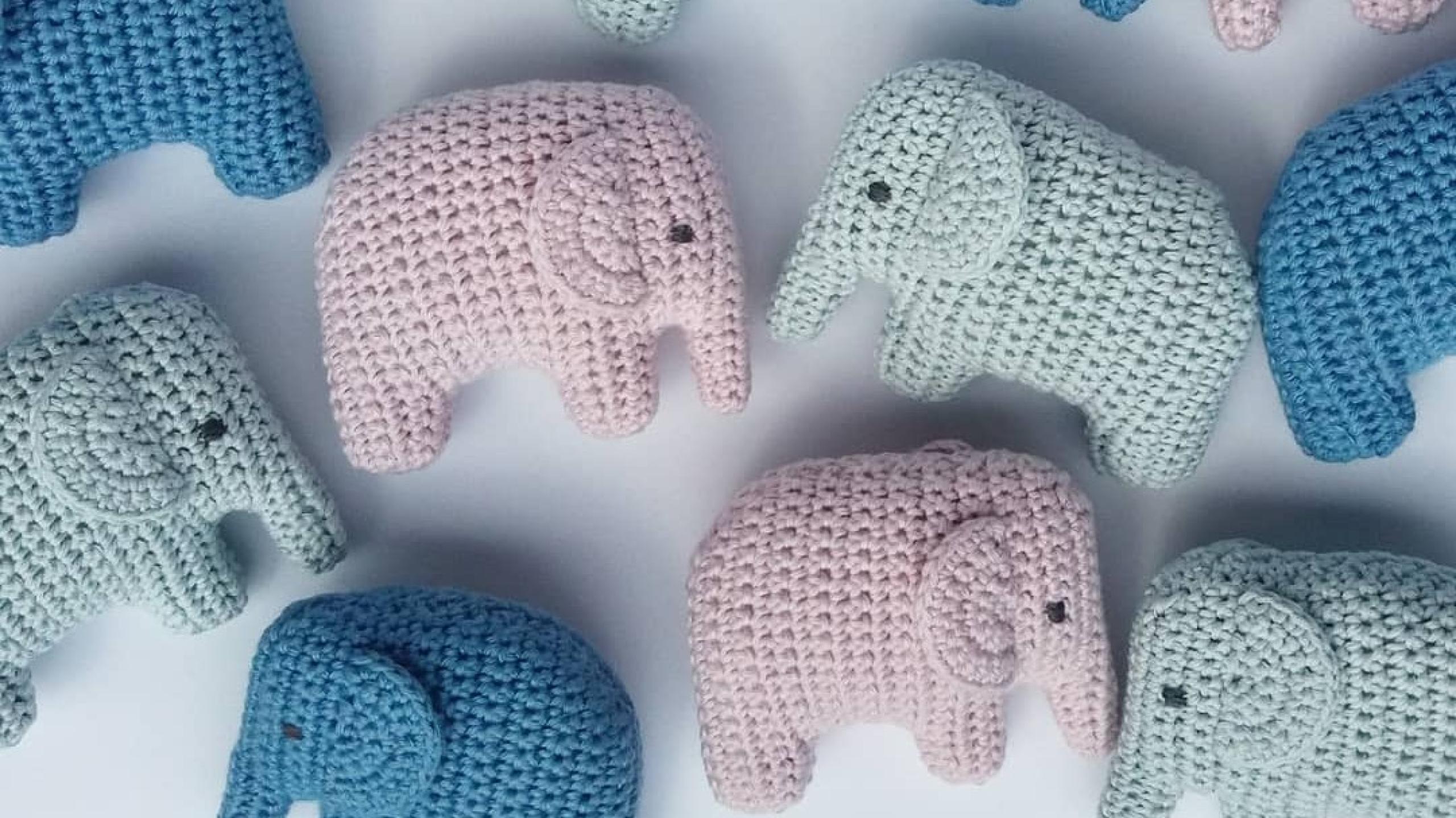 36787980_234046127418920_1786591509055799296_n(1)