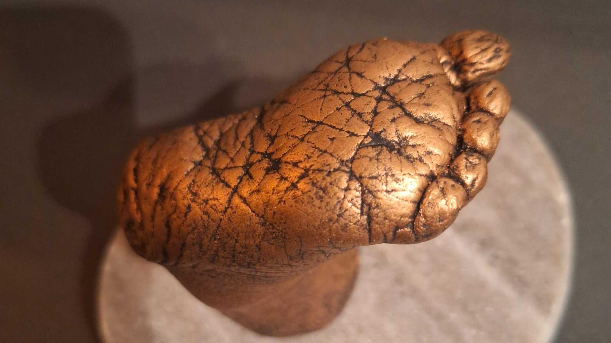 WhatsApp-Image-2025-02-05-at-22.31.17-(2)